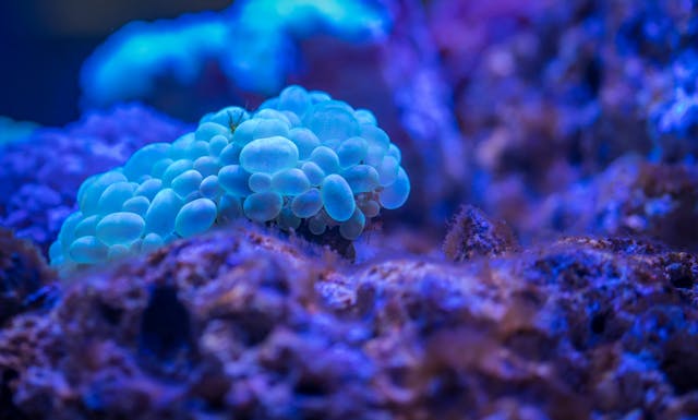 biology national 5